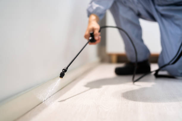 Certified termite inspector examining foundation in Stanley